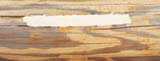 Cavity in log filled with E-Wood