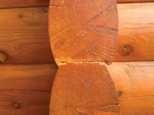 end of logs after log end seal has cured