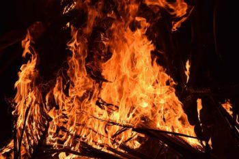 Log Flame Retardant